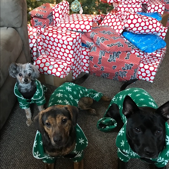 Meet your Posher, Gina - Picture 3 of 11